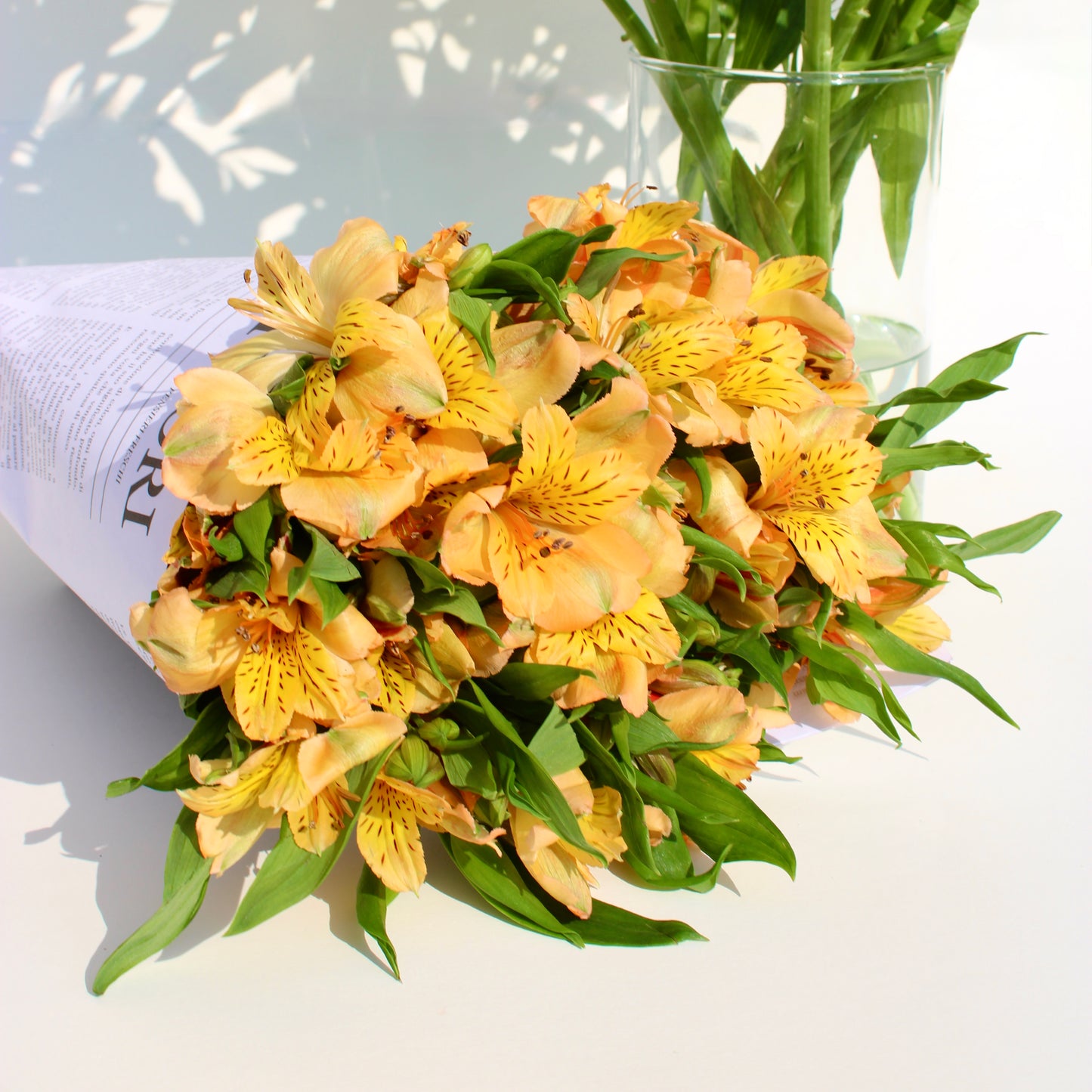 Alstroemeria