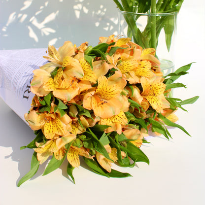 Alstroemeria