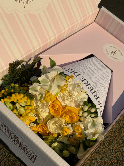 Mimosa - Il Pensiero edizione Festa della Donna