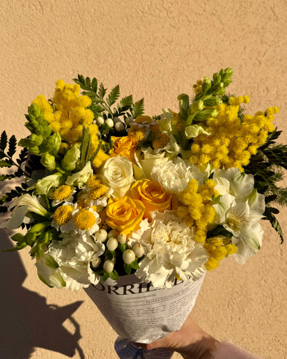 Mimosa - Il Pensiero edizione Festa della Donna