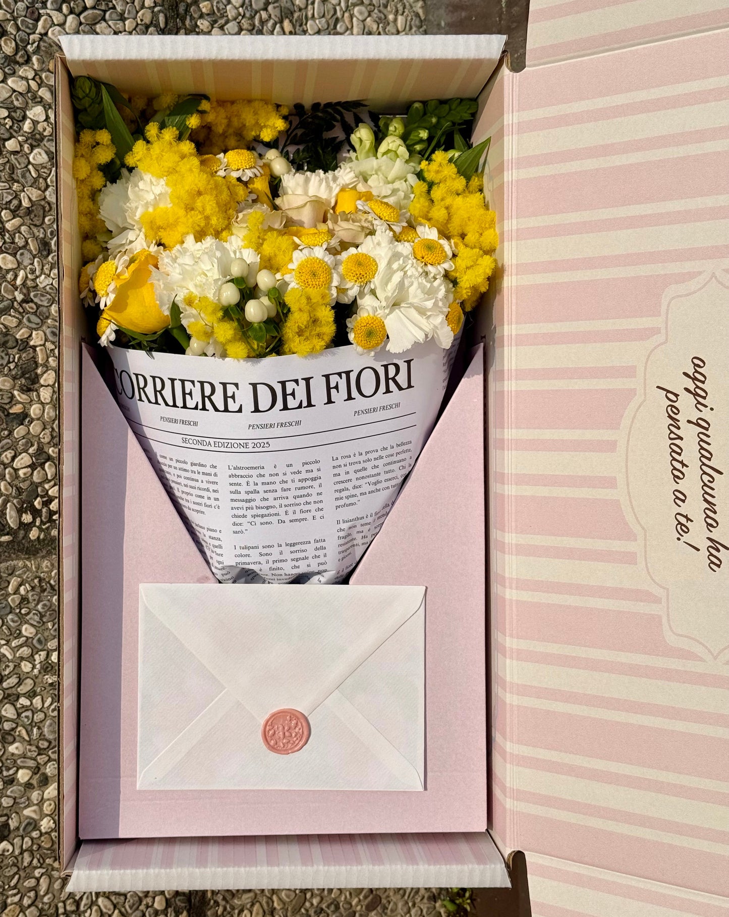 Mimosa - Il Pensiero edizione Festa della Donna