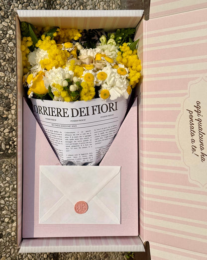 Mimosa - Il Pensiero edizione Festa della Donna