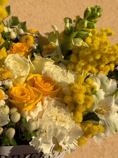 Mimosa - Il Pensiero edizione Festa della Donna