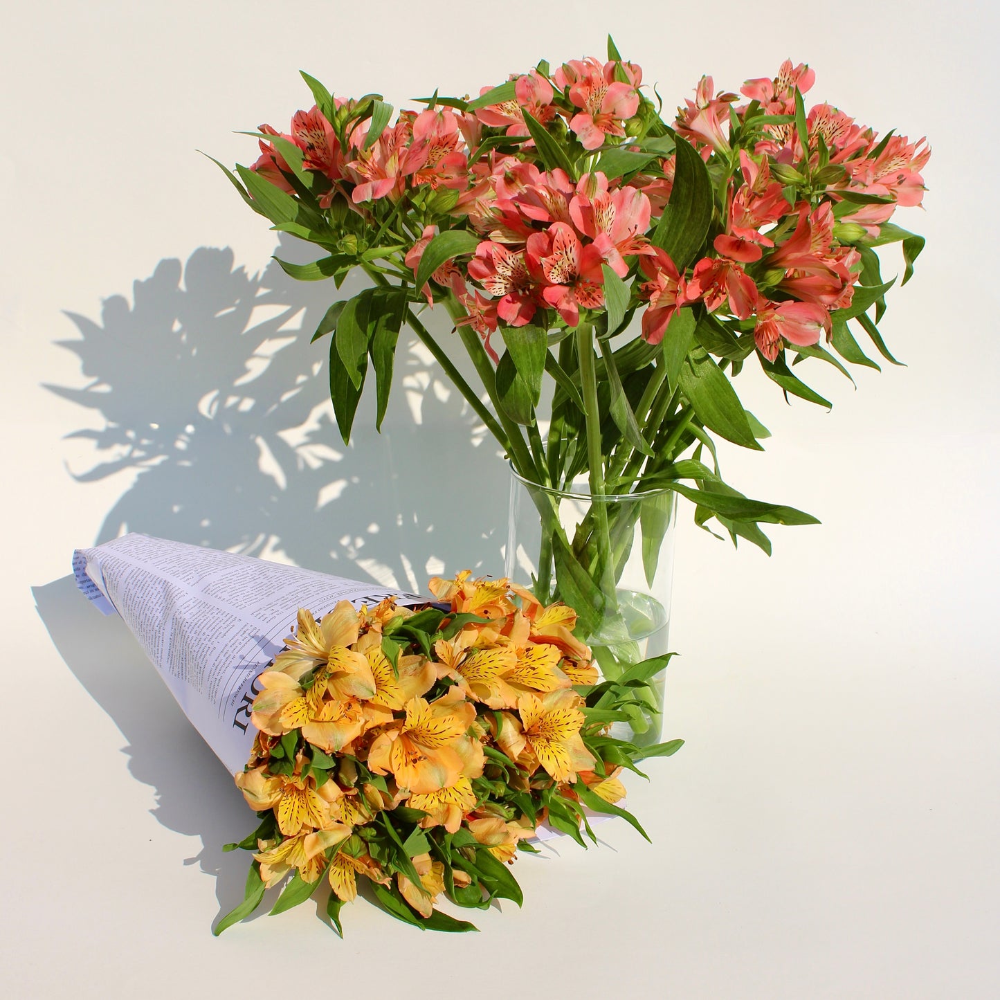 Alstroemeria