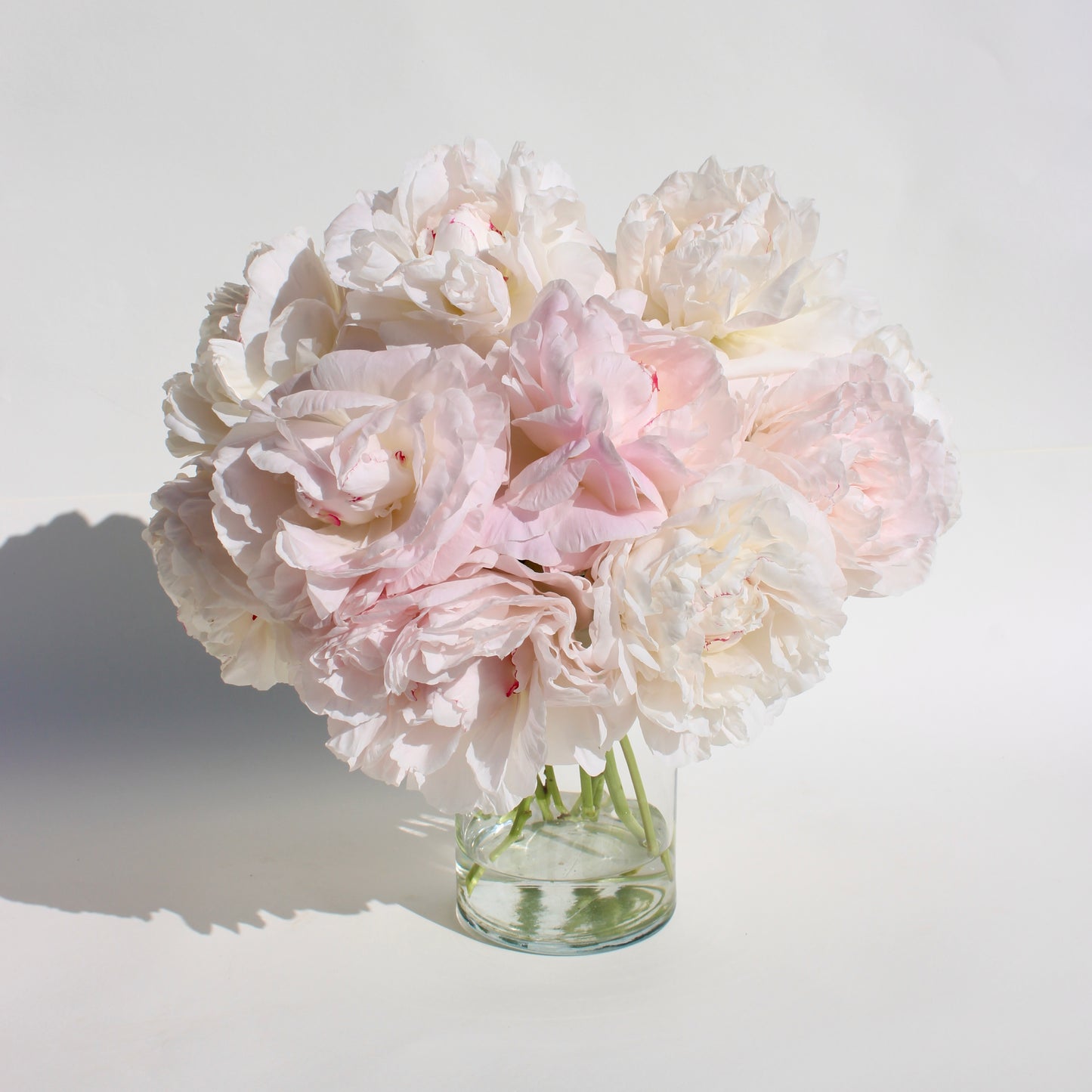 Le Peonie