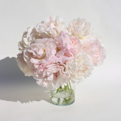 Le Peonie
